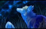  ambiguous_gender black_bars blue_eyes canine detailed_background feral fox fur grass kaylink mammal night outside sky smile solo star starry_sky tan_fur white_fur 