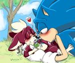  blush chip eyes_closed fakerface fellatio gay hedgehog lagomorph male mammal oral oral_sex penis precum sega sex sonic_(series) sonic_team sonic_the_hedgehog sonic_unleashed tongue yellow_eyes 