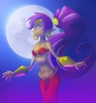  blue_eyes breasts clothing dark_skin ear_piercing female genie hair hi_res humanoid jaeneth long_hair moon navel night not_furry piercing pointy_ears ponytail purple_hair shantae shantae_(series) smile solo video_games 