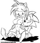  amy_rose linno sega sonic_team sonic_the_hedgehog zebala 