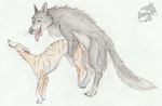  balto balto_(film) canine dog female feral greyhound invalid_tag jade_(disambiguation) love lupus lurcher mammal sex tongue whippet wolf yenza 