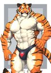  abs anthro bulge captainjohkid clothing colored feline flakjacket0204 male mammal muscular pecs simple_background solo speedo swimsuit tiger underwear 