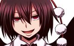  :d brown_hair close-up commentary_request evil_grin evil_smile face grin hair_between_eyes looking_at_viewer open_mouth pom_pom_(clothes) portrait red_eyes shameimaru_aya short_hair smile solo tottsuman touhou v-shaped_eyebrows white_background 