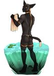  alpha_channel anthro bambii_dog butt clothing feline hi_res loincloth looking_at_viewer male mammal mostly_nude partially_submerged simple_background solo sphinx standing transparent_background 