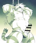  balls bdsm bondage bound censored clothing covered_eye erection feline magan male mammal muscular muscular_male pecs penis thong tiger tokyo_afterschool_summoners xxomgx 