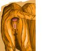  anus big_(disambiguation) butt cat digital_media_(artwork) feline female feral greelion mammal pussy spoiler tiger tigress_(disambiguation) 