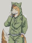  anthro canine clothed clothing fox fox_mccloud male mammal nintendo soliscanis star_fox tracksuit video_games 