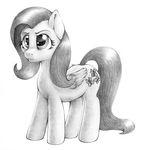  2017 black_and_white cutie_mark equine female feral fluttershy_(mlp) friendship_is_magic greyscale horse mammal monochrome my_little_pony pegasus pencil_(artwork) pony simple_background solo stallionslaughter traditional_media_(artwork) white_background wings 