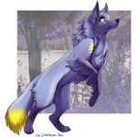  ambiguous_gender black_nose canine feral fox fur mammal paws purple_fur silvermoonfox solo yellow_eyes 