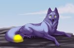  4_toes ambiguous_gender black_pawpads canine day detailed_background feral fur mammal outside pawpads paws purple_fur silvermoonfox solo toes yellow_eyes 