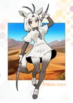  animal_ears antenna_hair arabian_oryx_(kemono_friends) brown_eyes brown_hair character_name commentary_request desert extra_ears full_body gradient_legwear highres horn_lance kemono_friends looking_at_viewer multicolored_hair necktie oryx_ears oryx_tail outline pantyhose polearm shirt short_hair skirt solo striped striped_neckwear umigarasu_(kitsune1963) weapon white_hair white_shirt white_skirt wrist_cuffs 