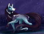  ambiguous_gender blue_eyes canine day detailed_background fur grey_fur mammal outside paws silvermoonfox solo 