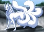  ambiguous_gender black_nose blue_eyes canine day detailed_background feral mammal multi_tail outside paws silvermoonfox solo 