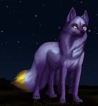  4_toes black_nose canien canine fur mammal night outside paws purple_fur silvermoonfox standing toes yellow_eyes 