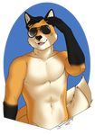  2_tails aviator_glasses canine clothed clothing fox lbproductions mammal multi_tail sabre_dacloud topless 