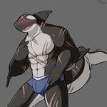  2017 abs anthro biceps cetacean clothed clothing digital_media_(artwork) eyeless male mammal marine muscular muscular_male open_mouth orca pecs qundium simple_background smile solo tongue whale 