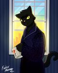  2017 anthro black_fur cat clothed clothing digital_media_(artwork) feline fur inside looking_at_viewer male mammal qundium solo standing yellow_eyes 