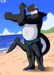 2017 anthro beach blue_eyes bulge cetacean clothed clothing crossed_arms digital_media_(artwork) happy male mammal marine musclegut navel open_mouth orca outside pecs quads qundium sand seaside sharp_teeth solo standing stretching teeth topless underwear water whale 