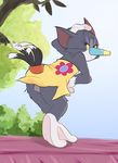  2017 anthro atori balls cat clothed clothing crossdressing feline fur girly looking_at_viewer male mammal skirt solo tom_(tom_&amp;_jerry) tom_and_jerry upskirt 