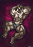  anthro bulge clothing feline hyper hyper_muscles looking_at_viewer lying male mammal muscular on_back pubes solo underwear uniparasite 