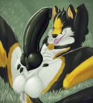  2017 animal_genitalia animal_penis anthro balls canine canine_penis detailed digital_media_(artwork) erection eyes_closed fox grass grin hill invalid_tag kimpze knot legs_up lying male mammal noonie-beyl notactuallyhere nude on_back outside penis piercing pinup pose presenting red_fox resting shaded sheath smile smirk solo spread_legs spreading teasing vein veiny_penis 