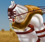  blindfold equine forced gag horse mammal slave tied-up torture 
