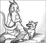  2012 ambiguous_penetration anthro argonian balls canine cowgirl_position eyes_closed female flat_chested fox happy happy_sex knot male male/female mammal on_top open_mouth penetration scalie sex slate the_elder_scrolls video_games 