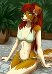  5_fingers anthro bikini black_nose canine clothing collie detailed_background dog female fur green_eyes hair mammal navel red_hair silvermoonfox solo swimsuit white_fur 