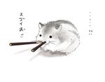  eating food full_body fur hamster no_humans noja original pocky text_focus translation_request whiskers 