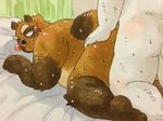  anal bed donuts72 duo male male/male mammal overweight overweight_male tanuki 