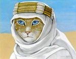  arabic blue_eyes cat desert feline fur lawrence_of_arabia low_res male mammal susan_herbert thomas_edward_lawrence yellow_fur 