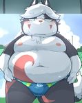  belly blush canine clothing fox male mammal overweight overweight_male rantan_chan solo speedo swimsuit underwear 