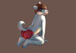  2017 anthro blue_fur briefs brown_hair butt canine clothed clothing digital_media_(artwork) dog fur green_eyes hair looking_at_viewer male mammal simple_background skymafia smile solo tongue underwear white_fur young 