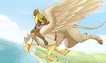  2017 4_toes 5_fingers absurd_res anthro avian barefoot brown_fur claws clothed clothing cute day digital_media_(artwork) duo feathered_wings feathers feet feral flying fur gryphon hair happy hi_res krazykurt male mammal marten mustelid open_mouth outside pawpads paws pine_marten quoll riding sky smile toes weasel wings yellow-throated_marten 