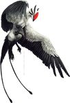  alpha_channel ambiguous_gender avian bird black_feathers black_nose claws feathered_wings feathers feral hybrid simple_background solo tatchit transparent_background wings 