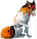  alpha_channel ambiguous_gender black_fur blue_eyes canine dog feral fur mammal orange_fur paws simple_background sitting tatchit transparent_background white_fur white_nose 