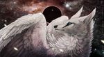  black_nose blue_eyes canine detailed_background eclipse feathered_wings feathers fur hybrid mammal sky star starry_sky tatchit white_feathers white_fur wings wolf 