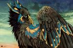  2011 ambiguous_gender avian beak black_feathers feathered_wings feathers feral gryphon solo tatchit wings yellow_beak 