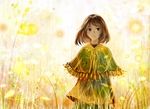  bangs bob_cut brown_eyes brown_hair capelet closed_mouth commentary_request dress grass green_capelet green_dress light looking_at_viewer original sakimori_(hououbds) solo 