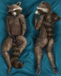 anthro bulge butt clothing conditional_dnp emptyset guardians_of_the_galaxy male mammal marvel raccoon rocket_raccoon solo thong underwear 