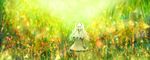  bangs black_eyes closed_mouth commentary dress flower gloves grass green long_hair looking_at_viewer original sakimori_(hououbds) scenery solo standing two_side_up white_hair 