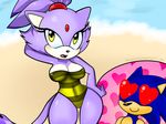  &lt;3 anthro beach big_breasts blaze_the_cat blush breasts cat clothed clothing duo feline female fur hedgehog huge_breasts icefatal looking_at_viewer love male male/female mammal outside pinup pose seaside smile sonic_(series) sonic_the_hedeghog sonic_the_hedgehog standing swimsuit thick_thighs video_games wide_hips 