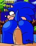  2016 anal anal_penetration ancient-onyx animated anthro beige_skin black_nose blue_fur butt fur green_eyes hedgehog human human_on_anthro interspecies male male/male mammal penetration penis sex smile sonic_(series) sonic_the_hedgehog tree video_games water 