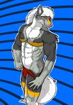  canid canine canis clothing dog invalid_tag male mammal musclesexylion muscular solo speedo swimsuit 