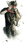  anthro black_hair black_nose canine clothed clothing fox hair male mammal simple_background solo standing tatchit white_background 