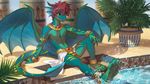  anthro brown_hair clothed clothing day detailed_background dragon hair horn male melloque membranous_wings outside sitting smile solo topless water wings 