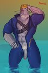  anthro male mammal marine my_hero_academia painis18 penis pinniped seal selkie_(my_hero_academia) 