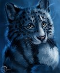 2017 ambiguous_gender feline flashw fur leopard mammal pink_nose simple_background snow_leopard spots spotted_fur whiskers 