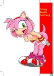  amy_rose furry_bomb sega sonic_team tagme 