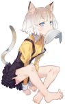  1girl animal_ears bare_legs barefoot blouse blue_eyes cat_ears cat_tail collared_shirt commentary_request dress feet fish food_in_mouth full_body legs_crossed long_sleeves nekomegane nekomusume original shirt short_hair sidelocks sitting tail toes white_background white_hair 